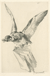 Titre pour Les graveurs du XIXe siècle, tome III : Catalogue de l'oeuvre de Bracquemond.