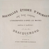 Nouvelles études d'animaux aux deux crayons, lithographiées d'après les maîtres anciens et modernes par Bracquemond [title page].