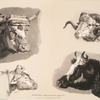 Nouvelles études d'animaux aux deux crayons, no. 1: [Quatre têtes d'animaux, boeufs, veau, bélier].