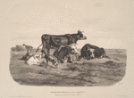 Nouvelles études d'animaux aux deux crayons, no. 5: [Jeune fille gardant des boeufs et une chèvre].