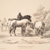 Nouvelles études d'animaux aux deux crayons, no. 7: [Chevaux à l'abreuvoir].