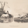 Nouvelles études d'animaux aux deux crayons, no. 9: [Chevaux buvant à la riviàre, vaches et chèvres (2 sujets)].