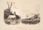 Nouvelles études d'animaux aux deux crayons, no. 9: [Chevaux buvant à la riviàre, vaches et chèvres (2 sujets)].