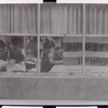 Books for the Teenage [Window display, Donnell Library]