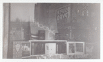 Exterior, window display on democracy