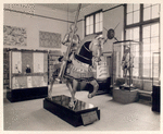 Armor display