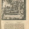 Forma lapidis & quantitas vera; serpens capillatus, lusitanis cobra de cabelo