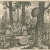Arbor polomie.