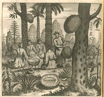 Arbor polomie.