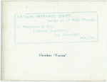 Hawker "Furies".