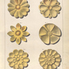 Greek pateras.