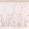 Elements of foliage.