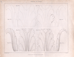 Elements of foliage.