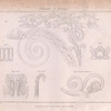 Elements of foliage.