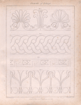 Elements of foliage.