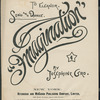 Imagination