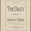The daisy