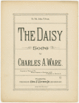 The daisy