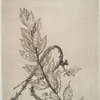 Titre-couverture pour Cent chefs d'oeuvre des collections parisiennes (seconde planche).
