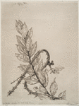 Titre-couverture pour Cent chefs d'oeuvre des collections parisiennes (seconde planche).