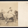 The Bullowa Girls