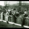 New York Public Library Central Information
