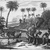 Group of men in canoes and working near shore.
