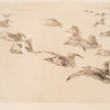 Les mouettes.