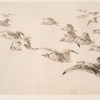 Les mouettes.