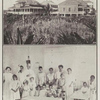 Presbyterian hospital, San Juan, Porto Rico. ; St. Luke's hospital, Ponce, Porto Rico.