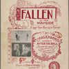 Fallen by the wayside : a leaf torn from life's history