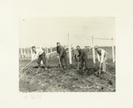 German prisoners at work for Food Conservation.