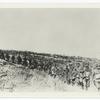 American advance in Argonne. German prisoners captured by Amer. In Argonne being escorted to prison pen in rear.