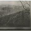 Battlefield of Spotsylvania, May 1864