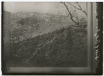 Battlefield of Spotsylvania, May 1864