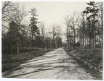 Fayette Rd., where Longstreet pushed through, Chickamauga, Tenn.