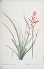 Index