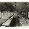 Glennan? bunks in position to carry max. load in ward car of Army Med. Dept. Hospital Train. 6-13-1918