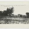 Near Peking, China, Aug. 14, 1900, Light Battery "F" 5th Artillery.