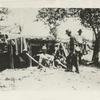 Seige of Santiago - Cuba. 1898. 21st Inf. bombproof. July 12, 1898.