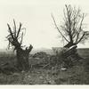 Captured German artillery  position. The ground around this position was plowed up by the Am[erican] barrage. Near Landreville, Ardennes, Nov. 7, 1918.