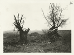 Captured German artillery  position. The ground around this position was plowed up by the Am[erican] barrage. Near Landreville, Ardennes, Nov. 7, 1918.