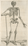 Prima ossium tabula [Human skeleton leaning on a spade]