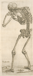 Tertia ossium tabula [Skeleton in aiming position]