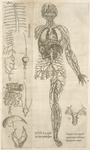 Nona ac postrema huius tractatus figura.