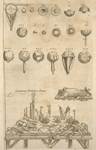 Anatomicorum instrumentorum delineatio [Various medical apparatuses]