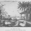 La culture du coton