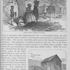 Tobacco culture- stringing the primings. ; A tobacco barn in Virginia