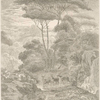 Cerfs à la fontaine