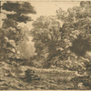 Une petite mare entourée d'arbres